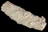 - Fulgurites (Petrified Lightning) Wholesale Lot ~ Pieces #76037-2